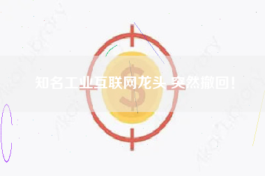 知名工业互联网龙头 突然撤回！