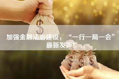 加强金融法治建设，“一行一局一会”最新发声！