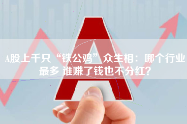 A股上千只“铁公鸡”众生相：哪个行业最多 谁赚了钱也不分红？