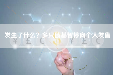 发生了什么？多只债基暂停向个人发售