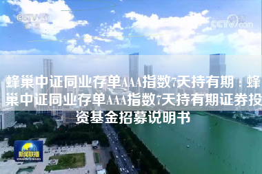 蜂巢中证同业存单AAA指数7天持有期 : 蜂巢中证同业存单AAA指数7天持有期证券投资基金招募说明书