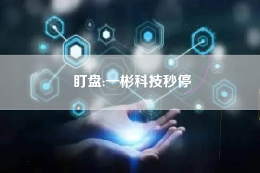 盯盘:一彬科技秒停