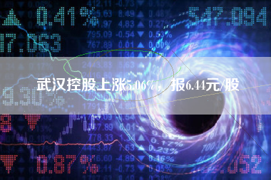 武汉控股上涨5.06%，报6.44元/股