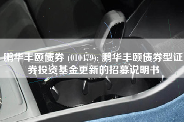 鹏华丰颐债券 (010479): 鹏华丰颐债券型证券投资基金更新的招募说明书