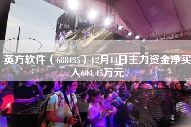 英方软件（688435）12月14日主力资金净买入604.45万元