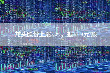 龙头股份上涨5.3%，报10.14元/股