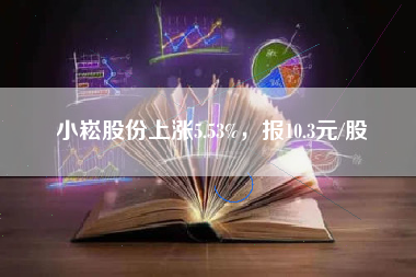 小崧股份上涨5.53%，报10.3元/股