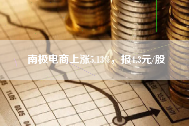 南极电商上涨5.13%，报4.3元/股