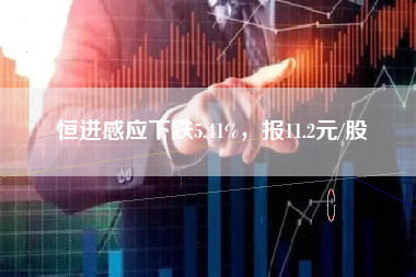 恒进感应下跌5.41%，报11.2元/股