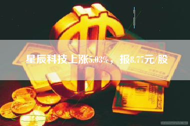 星辰科技上涨5.03%，报8.77元/股