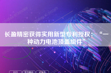 长盈精密获得实用新型专利授权：“一种动力电池顶盖组件”