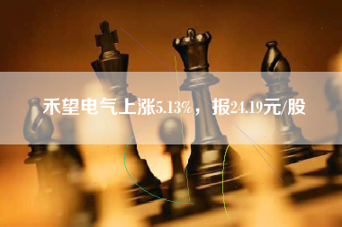 禾望电气上涨5.13%，报24.19元/股