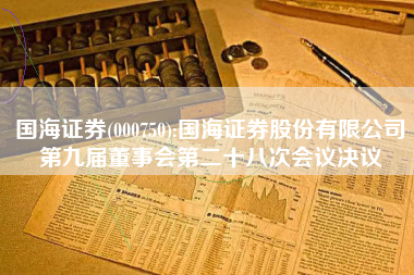 国海证券(000750):国海证券股份有限公司第九届董事会第二十八次会议决议