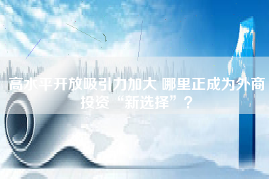 高水平开放吸引力加大 哪里正成为外商投资“新选择”？