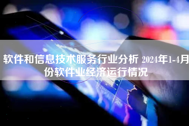 软件和信息技术服务行业分析 2024年1-4月份软件业经济运行情况